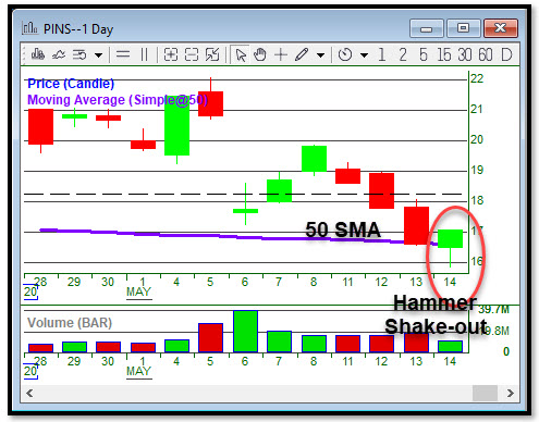 Pins-50-sma.jpg