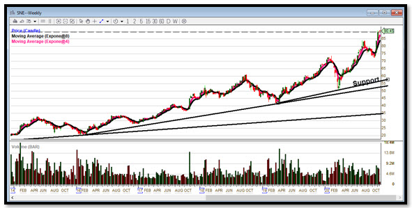 SNE-chart.jpg